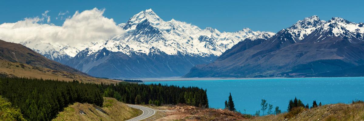 Travel by Rail and Car in New Zealand and Save